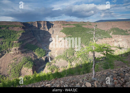 Pins et cascades dans le canyon de la rivière Kanda, plateau Putorana, Nord de la Russie, réserve naturelle Putoranskiy. Banque D'Images