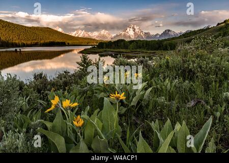 Mont Moran et les montagnes de Grand Teton d'Oxbow Bend reflétée à l'aube sur la rivière Snake au Parc National de Grand Teton dans Moran, Wyoming. Banque D'Images