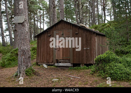 La cabane construite par Mikel Utsi suédois gardien de rennes pour l'abri tout en tendant son troupeau dans le Parc National de Cairngorms, en Écosse, au Royaume-Uni. Banque D'Images