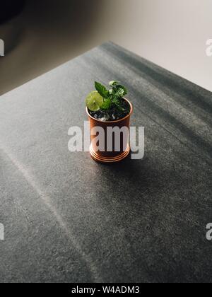 Photo verticale d'un cocktail mojito dans une tasse de cuivre avec des feuilles de menthe et du citron sur le dessus Banque D'Images