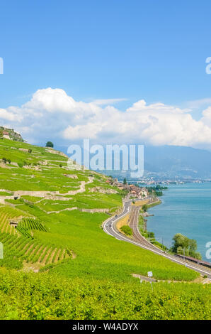 Photo verticale de beaux vignobles en terrasses sur les pentes du lac de Genève en Suisse. Région viticole de Lavaux. Campagne suisse. La Suisse de l'été. Vignoble verdoyant. Patrimoine de l'UNESCO. Attractions touristiques. Banque D'Images