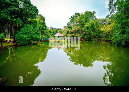 Sir Seewoosagur Ramgoolam Botanical Garden sur l'île paradisiaque de l'île Maurice. La tonalité de l'image. Banque D'Images