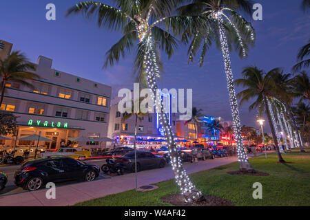 Les LUMIÈRES DE NOËL SUR PALMIERS HÔTELS OCEAN DRIVE LUMMUS PARK SOUTH BEACH MIAMI BEACH FLORIDE USA Banque D'Images