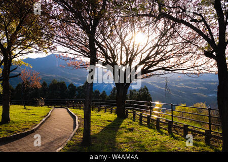 Balade dans ce parc apporte la tranquillité et la paix. Numazu City, Japon. Banque D'Images