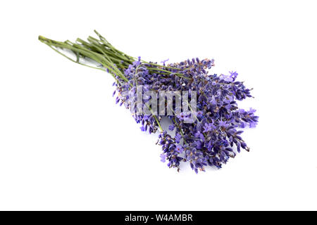 Bouquet de fleurs de lavande attaché isolé sur fond blanc Banque D'Images