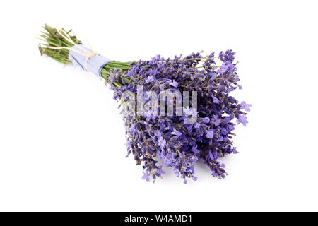Bouquet de fleurs de lavande attaché isolé sur fond blanc Banque D'Images
