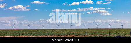 Panorama d'éoliennes, Texas, USA. Éoliennes vue panoramique, l'usine d'énergie de remplacement sur un champ vert, jour de printemps ensoleillé Banque D'Images