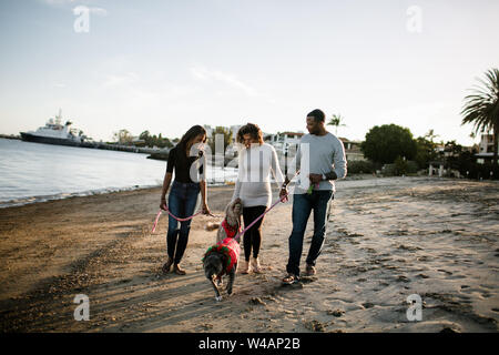 Famille reconstituée avec des chiens promenades sur la plage au coucher du soleil Banque D'Images