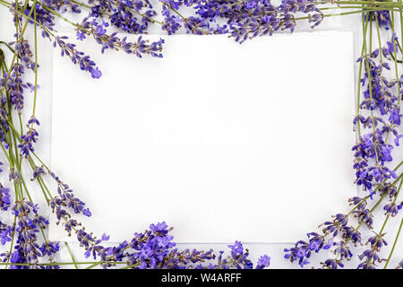 Composition de fleurs. Cadre fait de fleurs de lavande fraîche sur fond blanc. Mise à plat, vue du dessus, copiez l'espace, square Banque D'Images