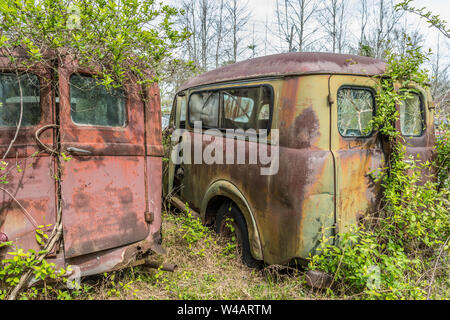 Deux camions abandonnés dans un panneau ouvert domaine couvert par les plantes et la rouille en décomposition sur un après-midi ensoleillé Banque D'Images