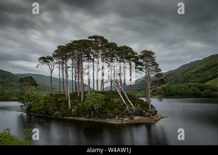 Eilean Loch Eilt Moine, na, en Écosse - lieu de tournage pour l'enterrement de Dumbledore dans Harry Potter Banque D'Images