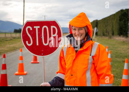 Une femme sur la route d'exploite un panneau d'arrêt à une zone de danger sur une route rurale dans la région de Canterbury, Nouvelle-Zélande Banque D'Images