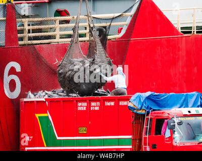 La ville de General Santos, Philippines - Le 16 octobre 2018 : l'albacore congelé d'être chargés à bord d'un camion par un chargeur bateau au port de pêche de Gen Banque D'Images