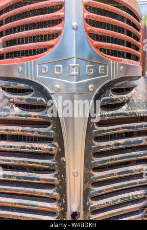 La grille avant d'une vieille série W rouge négligées vieux camion Dodge de 1939. Cette version a été appelé le 'Table Top' avec un chevet plat. Banque D'Images