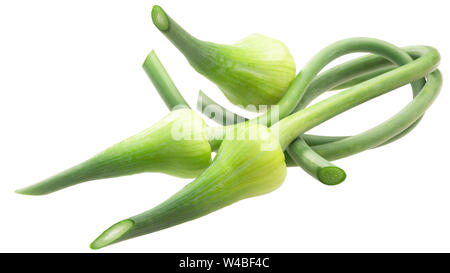 Bords de l'ail (Allium sativum), isolé Banque D'Images