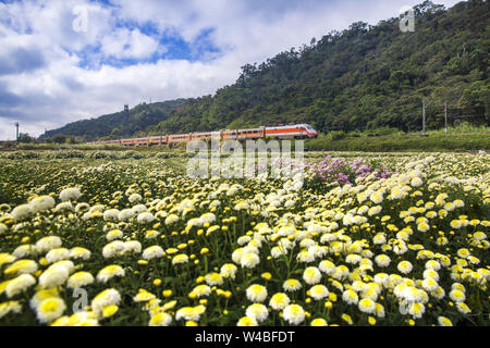 Fleuriste et le Train Banque D'Images