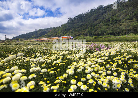 Fleuriste et le Train Banque D'Images