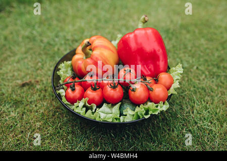 Libre de légumes allongés sur l'herbe sur la plaque Banque D'Images