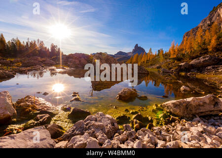 Sunburst sur le Lac Federa Becco di Mezzodi et entouré de mélèzes en automne, Dolomites, Cortina d'Ampezzo, Veneto, Italie Banque D'Images