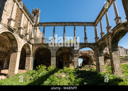 La végétation sauvage poussant dans le cloître de l'ancien couvent de San Antonio de Padua, Garrovillas de Alconétar Banque D'Images