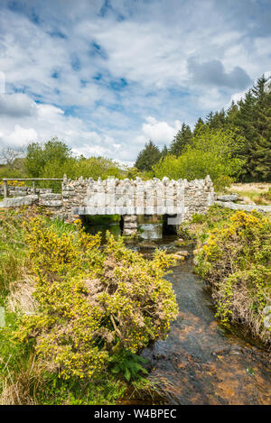 Vieux pont de pierre près de Postbridge à Dartmoor, dans le Devon, England, England, UK Banque D'Images