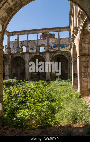 La végétation sauvage poussant dans le cloître de l'ancien couvent de San Antonio de Padua, Garrovillas de Alconétar Banque D'Images