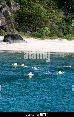 Un groupe de touristes sur une journée d'excursion en bateau aux îles Whitsunday, plongée avec tuba dans les eaux peu profondes de la Grande Barrière de Corail au déjeuner Bay Banque D'Images