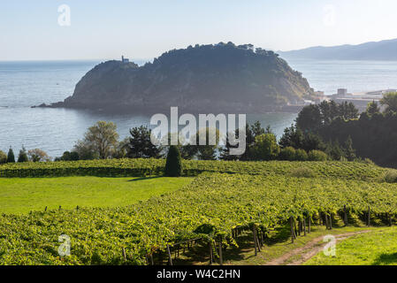 Les vignes avec la Mer Cantabrique à l'arrière-plan, Getaria, Espagne Banque D'Images