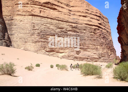 Deux bédouins d'équitation sur des chameaux dromadaire dans le désert de Wadi Rum, Jordanie, Moyen-Orient Banque D'Images