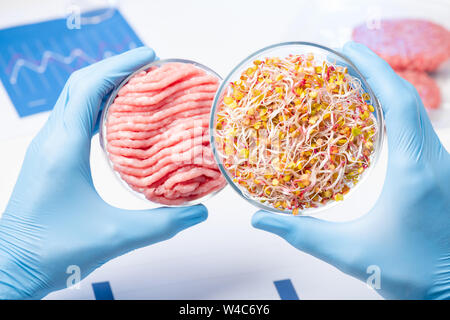 Expert scientifique en montrant le matériel végétal dans la boîte de Pétri pour la préparation de travaux pratiques sans cruauté les substituts de viande Banque D'Images