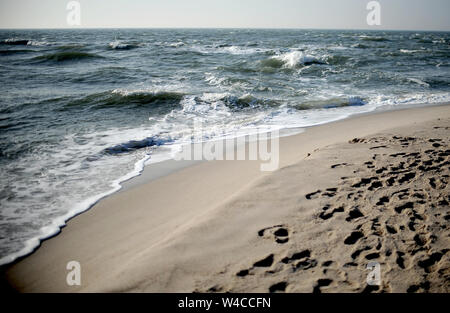 18 février 2019, le Schleswig-Holstein, Sylt : Sur la plage de Sylt. Sylt est la plus grande île du Nord en Allemagne. Photo : Britta Pedersen/dpa-Zentralbild/ZB Banque D'Images