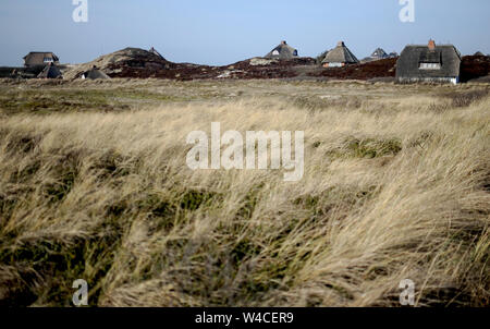 18 février 2019, le Schleswig-Holstein, Sylt : maisons d'Adobe sur Sylt. Sylt est la plus grande île du Nord en Allemagne. Photo : Britta Pedersen/dpa-Zentralbild/ZB Banque D'Images