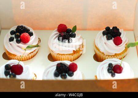 Cupcakes isolés avec de la crème, avec une feuille de cerise, de mûre, de framboise cassis dans un ouvrage fort sur un fond blanc. Banque D'Images