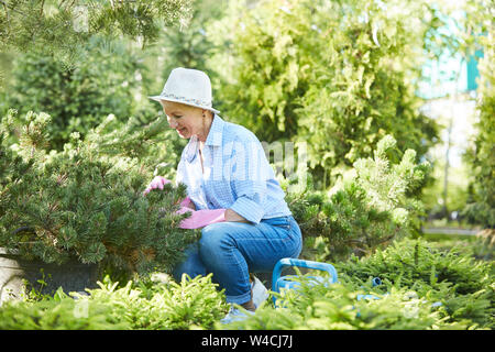 Vue de côté portrait de senior woman contemporain jardinage à la lumière du soleil, copy space Banque D'Images