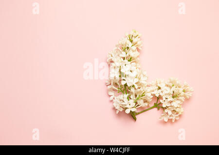 Bouquet de lilas blanc rose sur un fond plat. Félicitation bannière avec le 8 mars, jour de la Saint-Valentin Banque D'Images