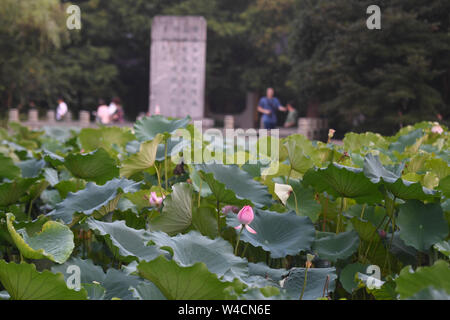 Hangzhou, Chine, Province de Zhejiang. 22 juillet, 2019. Les touristes visitent le lac de l'Ouest à Hangzhou, Zhejiang Province de Chine orientale, le 22 juillet 2019. Credit : Huang Zongzhi/Xinhua/Alamy Live News Banque D'Images