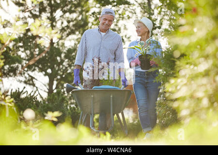 Portrait of happy senior couple en train de marcher vers la caméra en poussant le panier avec des plantes de jardin Banque D'Images