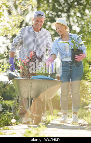 Full Length portrait of happy senior couple en train de marcher vers la caméra en poussant le jardin ensoleillée avec plantes panier Banque D'Images