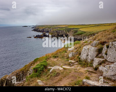 Une vue de la baie Non st sur le chemin côtier du Pembrokeshire, Pays de Galles, en Nouvelle-Galles du Sud Banque D'Images