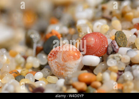 Image d'une macro-marin composé de sable grossier.Détails d'un sable grossier avec un shell de taille millimétrique Banque D'Images