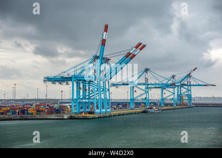 Grandes Grues sur un jour nuageux à quai dans le port de Zeebrugge en Belgique. Banque D'Images