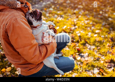 Holding maître chien pug en mains en automne parc. Chiot heureux à la recherche sur l'homme et montrant la langue. Hugging pet Banque D'Images