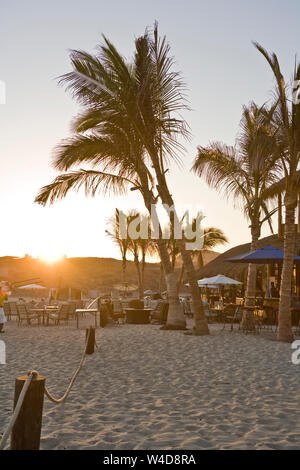 Palmiers à l'extérieur d'un café sur une plage de sable fin au coucher du soleil. Banque D'Images