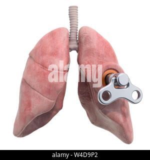 Les poumons avec la liquidation d'une clé. Concept de traitement et de rétablissement. Le rendu 3D isolé sur fond blanc Banque D'Images