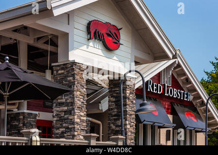 Red Lobster restaurant de fruits de mer à Buford, Géorgie. (USA) Banque D'Images