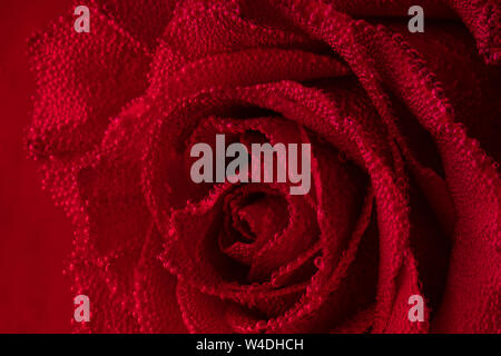 Fleur rose rouge sur un fond rouge avec des bulles d'air sur les pétales. Rose dans l'aquarium Banque D'Images