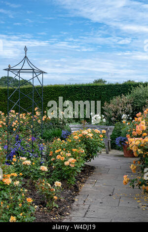 Jardin de roses en été à RHS Rosemoor gardens, Great Torrington, Devon, Angleterre Banque D'Images