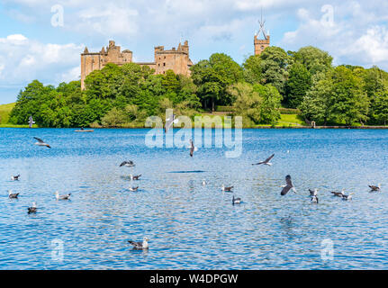 Linlithgow Loch et le Palais de Linlithgow, avec bee tea sea, Ecosse, Royaume-Uni Banque D'Images