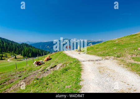 Alpes autrichiennes, à proximité et Arturhaus Bischofshofen Banque D'Images