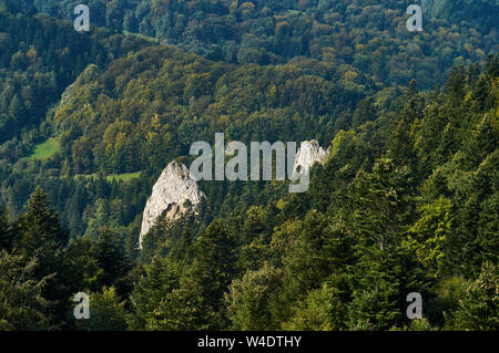 Belle vue panoramique sur le Parc National de Pieniny, Pologne en septembre ensoleillé jour de Trzy Korony - Anglais : les trois couronnes, le slovaque : 3 - koruny est Banque D'Images